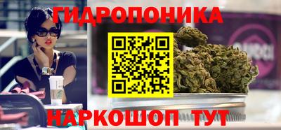 бошки Жуковский